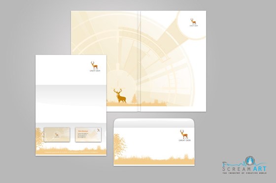 Портфолио: 1